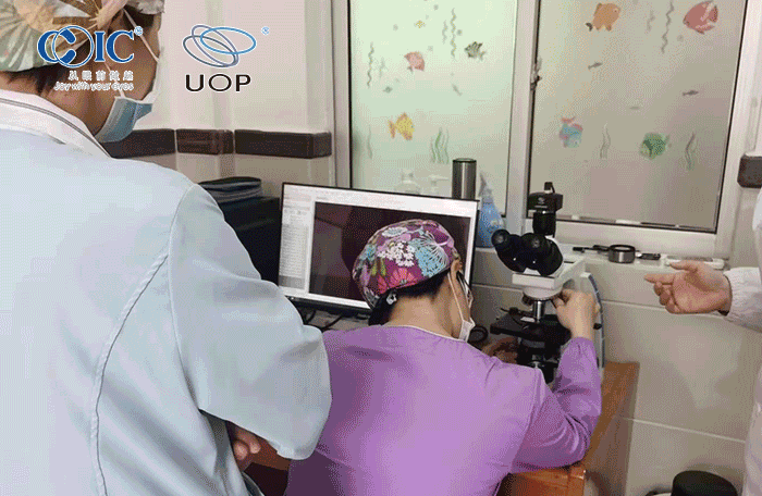 2023年丨我公司UB203i显微镜成功交付某医院