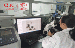 2024年丨UB103i偏光显微镜得到客户认可